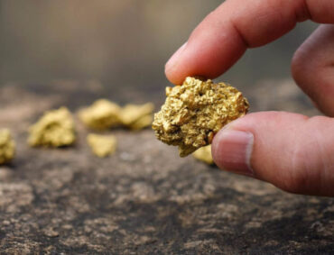 The pure gold ore found in the mine is in the hands of men.